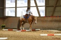 26-ApHC GT_197